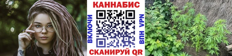 Конопля OG Kush  наркошоп  это состав  Пролетарск  мега как войти 